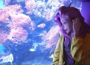 爱游戏网页版-抢七鏖战，国王连击风暴，雄鹿王朝的黄昏？