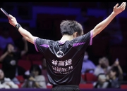 爱游戏下载-德国队逆转中国队，林高远点燃赛场